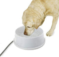 Thermal-Bowl Heated Water Bowl for Cats & Dogs - No Freeze Outdoor