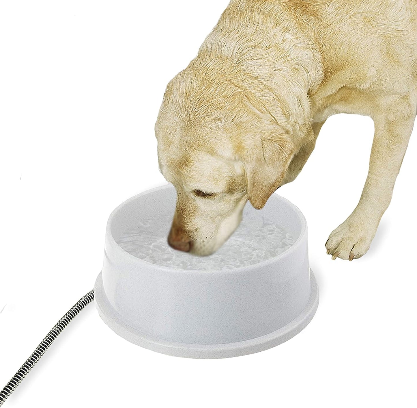 K&H Pet Products Heated Water Bowl for Cats & Dogs Outside