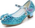 Cadidi Dinos Girls Dress Shoes Mary Jane Princess Flower - Comfortable