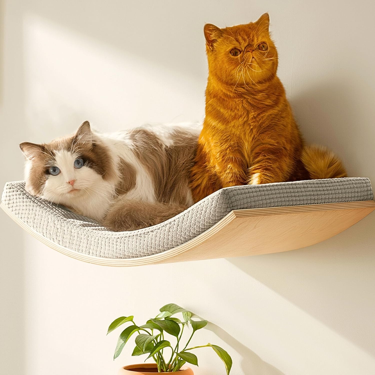 Extra Large Cat Wall Shelves - Stylish C Shape Design for Cats