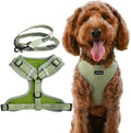 No Pull Puppy Harness and Leash Set XXS - Secure, Lightweight Fit