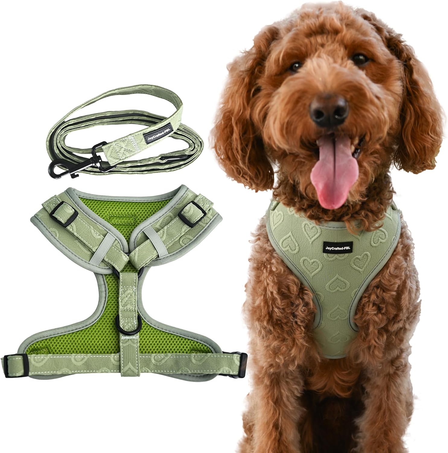 No Pull Puppy Harness and Leash Set for Extra Small Dogs
