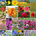 Heirloom Flower Mixed Seeds 5 lb - Pollinator Garden Mix