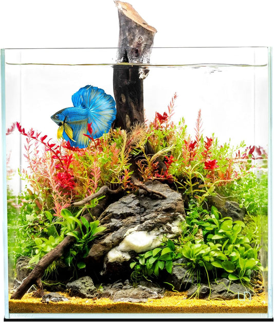 UNS Ultra Clear Rimless Tank - 16.9GAL with 45 Mitered Edge