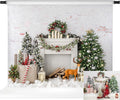 Kate 10x8ft Christmas Backdrop for Photoshoot Kids' Party