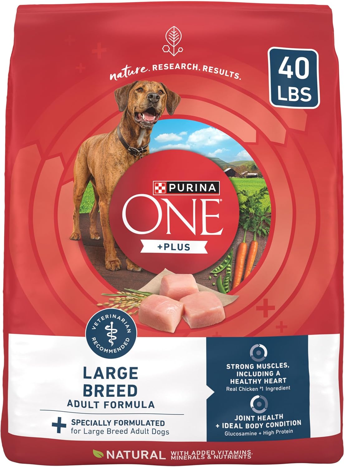 Purina ONE Large Breed Adult Dog Food with Real Chicken Flavor