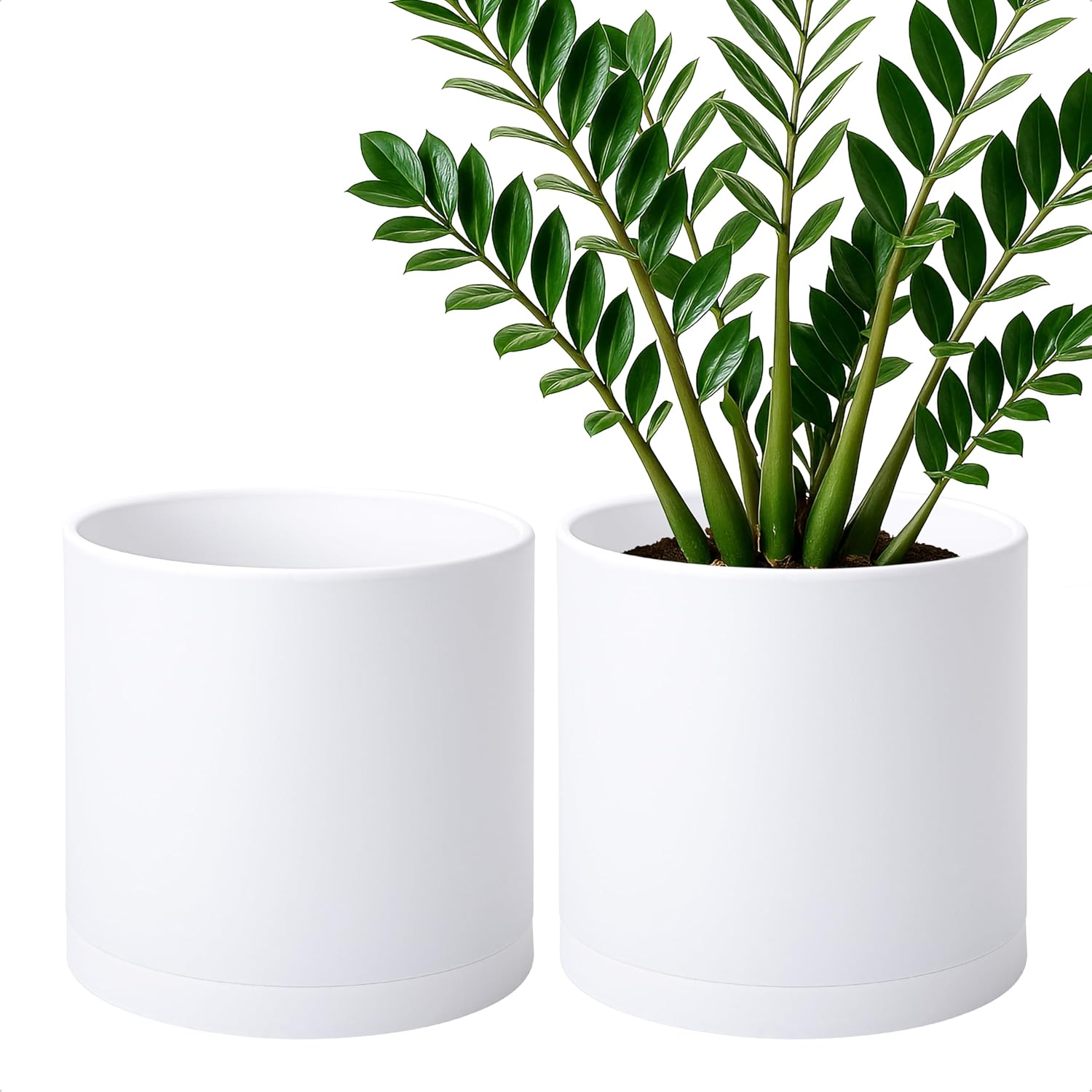 D'vine Dev 10 Inch Modern Plastic Plant Pots for Your Garden