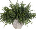 Norfolk Pine Branches 64 pcs 18 in - Real Touch Faux Greenery