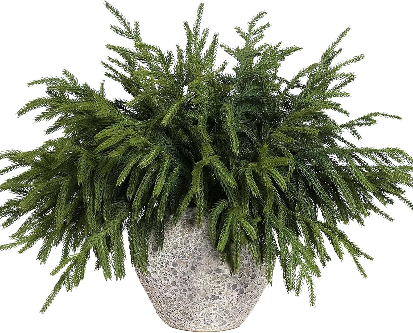 Lifelike 18 Inch Norfolk Pine Branches for Christmas Decor