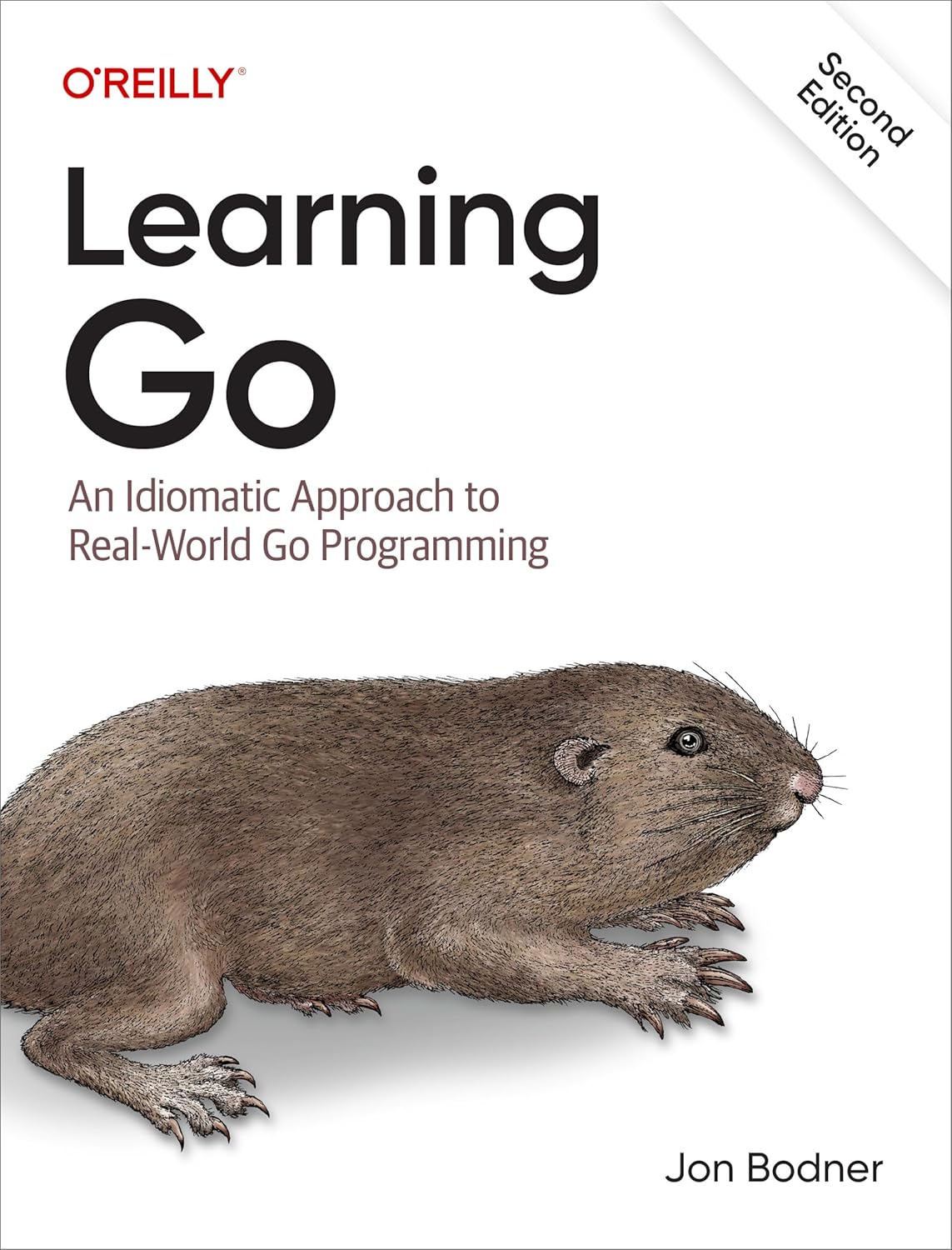 Learning Go: An Idiomatic Approach to Real-World Programming