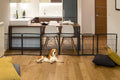 FXW Dog Gate Extra Wide Indoor Adjustable up to 165 in - Secure