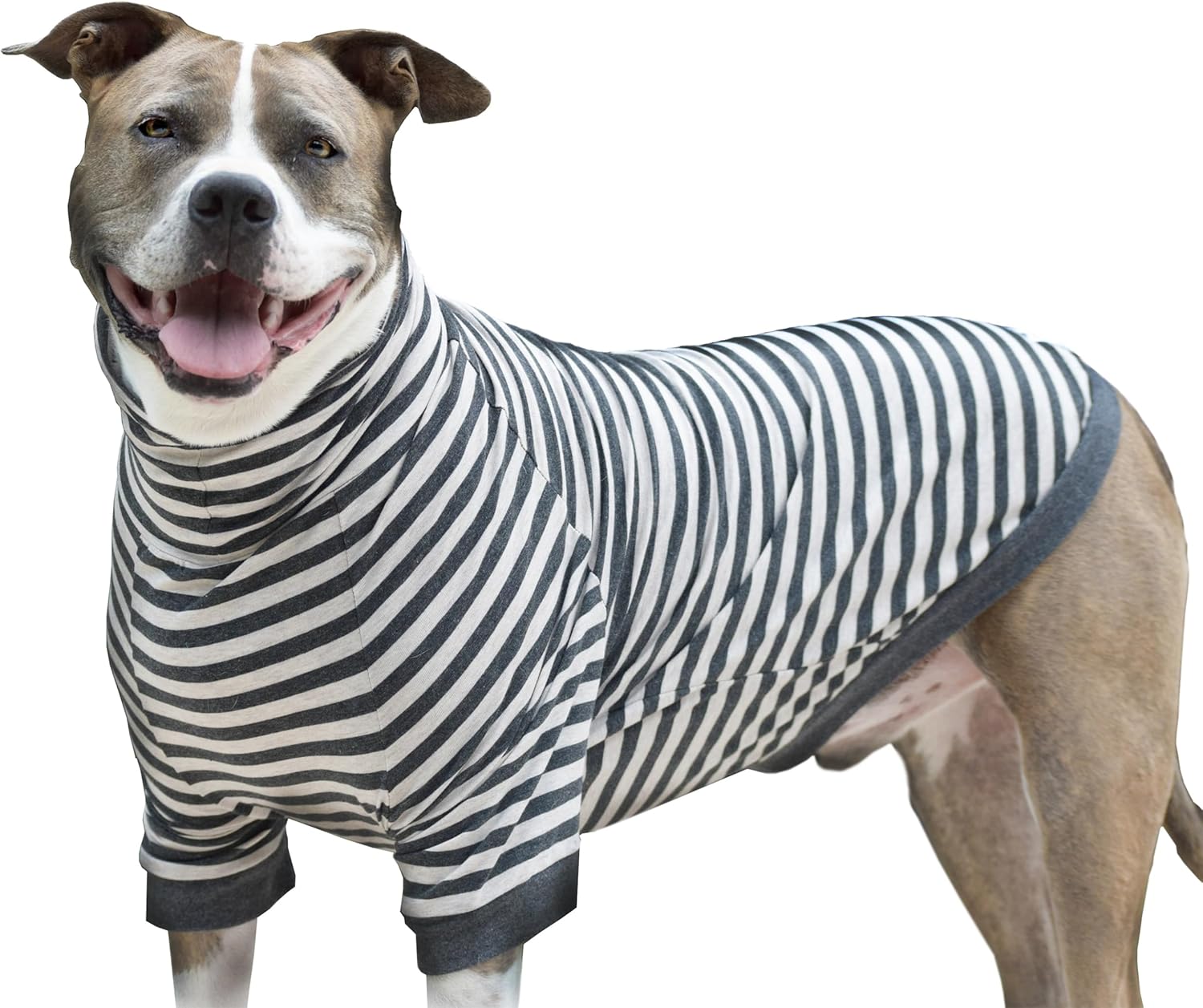 Tooth & Honey Large Dog Pullover Shirt for Allergy Relief