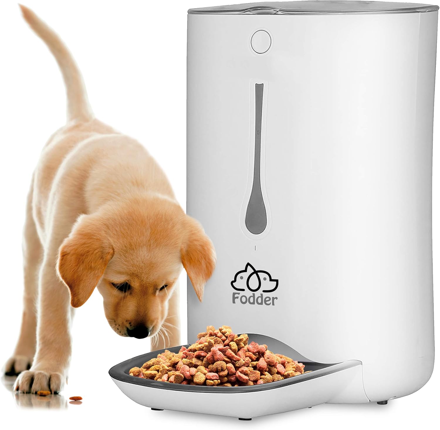 Automated Pet Feeder with Voice Recorder