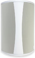 Definitive Tech AW5500 Outdoor Speaker - High Power, All-Weather, Extreme Performance