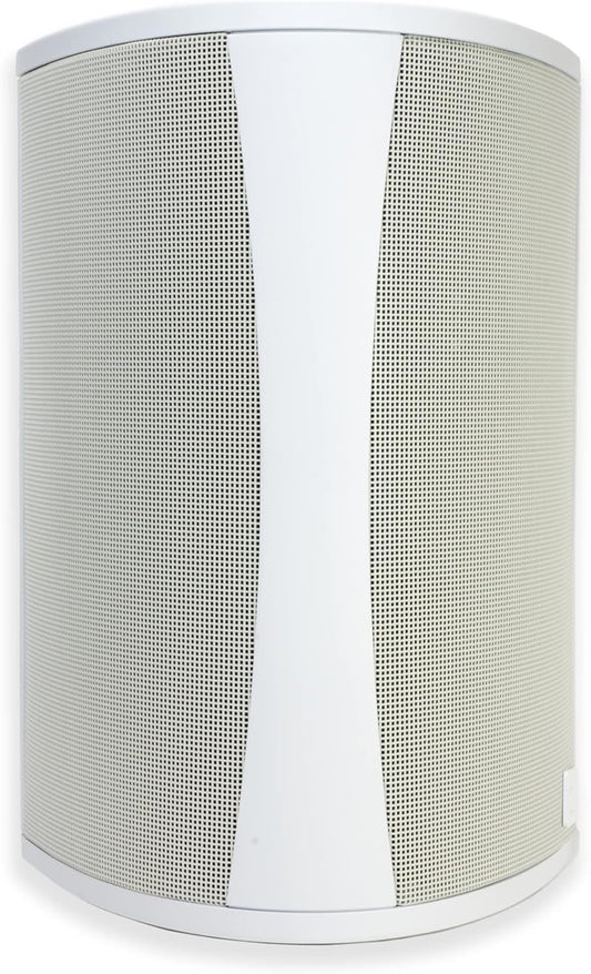 Definitive Tech AW5500 Outdoor Speaker - High Power, All-Weather, Extreme Performance