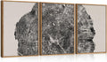 CHDITB Framed Tree Ring Wall Art Set of 3 - Neutral Modern Nature