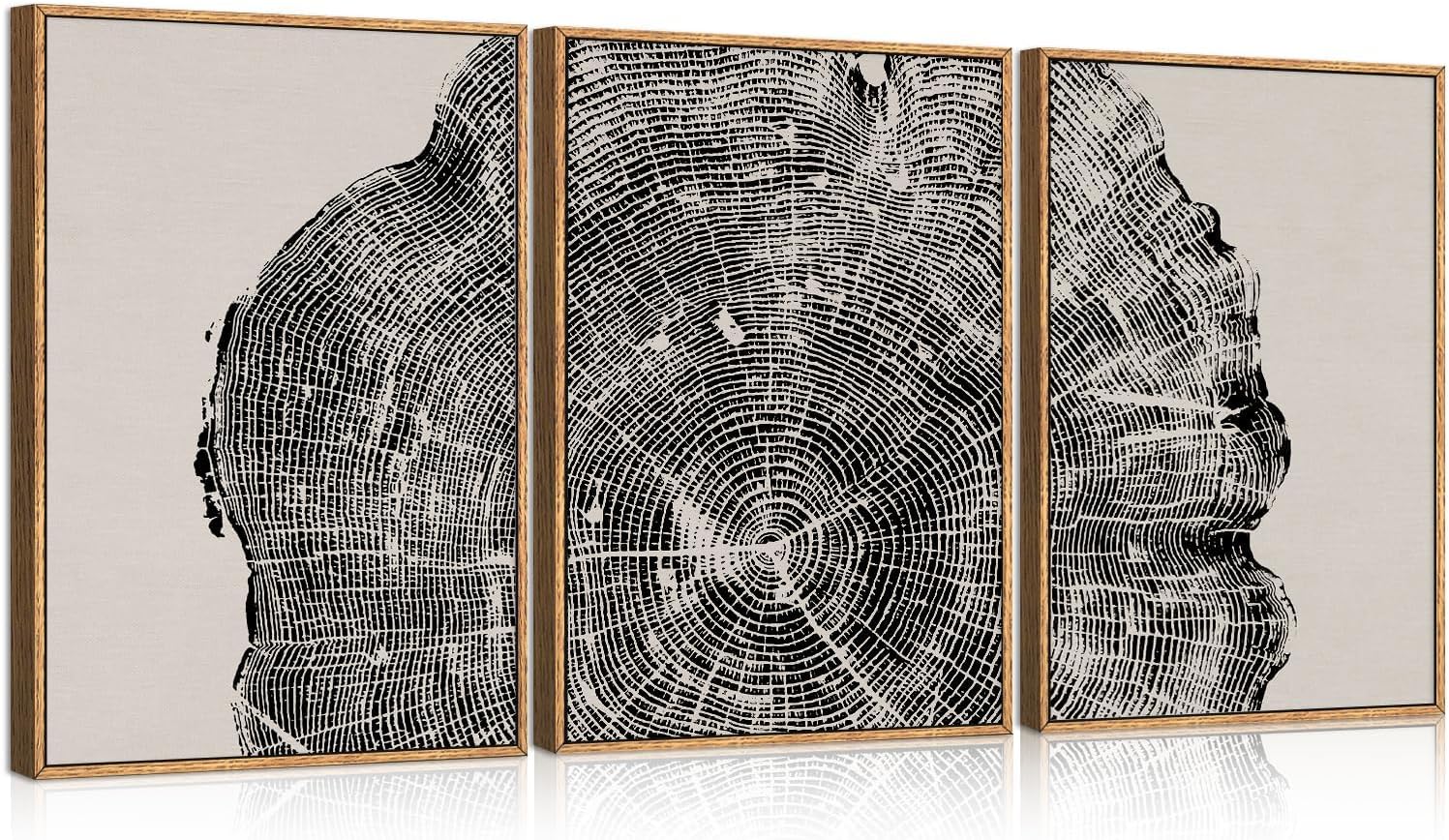 Framed Tree Ring Wall Art Set of 3 for Modern Home Decor