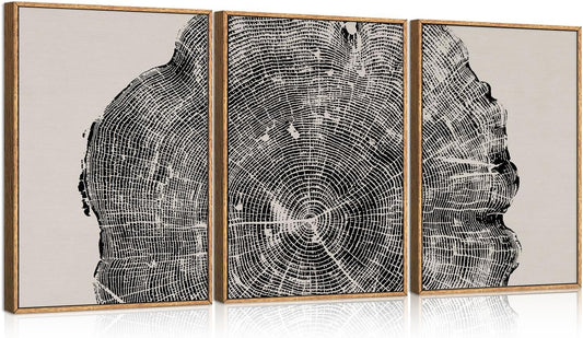 Framed Tree Ring Wall Art Set of 3 for Modern Home Decor
