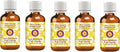 Pure Ajwain Essential Oil 100ml x5 - Steam Distilled Therapeutic Grade