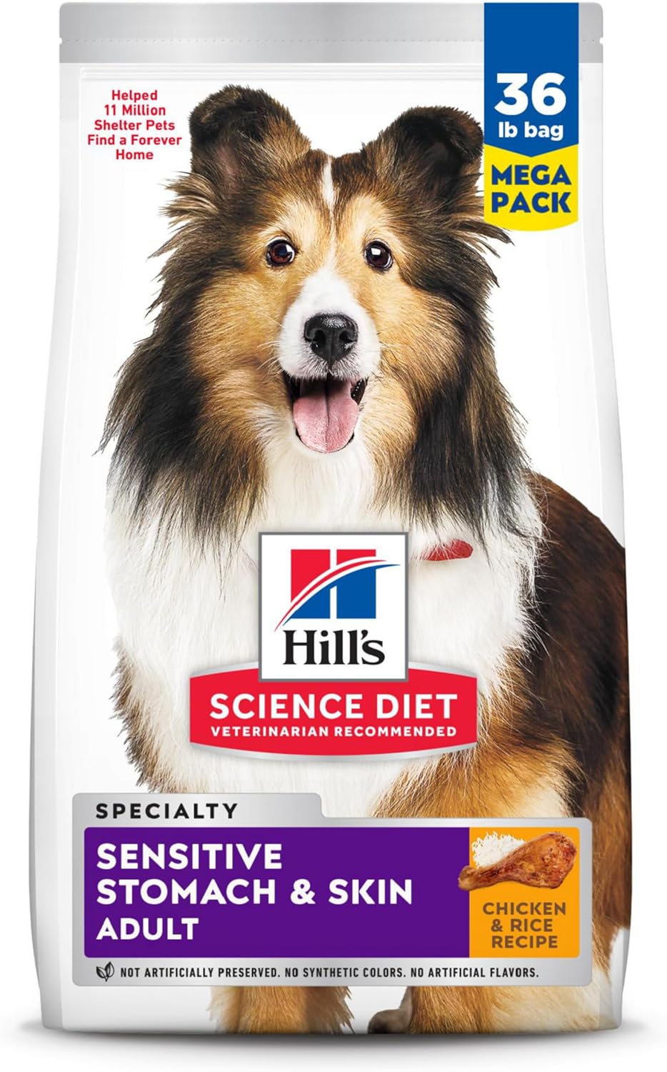 Hill's Science Diet Sensitive Stomach & Skin Dry Dog Food Review