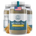 Herbal Vineyards Irish Pineapple Sea Moss Gel 16 Oz - Nutrient-Rich
