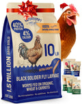 Black Soldier Fly Larvae 10 lb - Calcium-Rich Chicken Feed Supplement