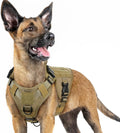rabbitgoo Tactical Dog Harness for Small Breeds, Heavy Duty Vest