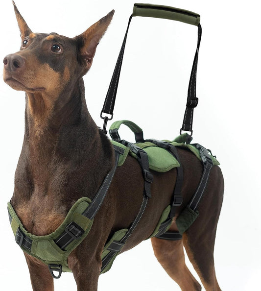 BINGPET Dog Lift Harness for Large Dogs - Full Body Support