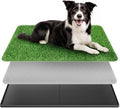 Dog Grass Pad with Tray 35in x 24in - Indoor Potty System