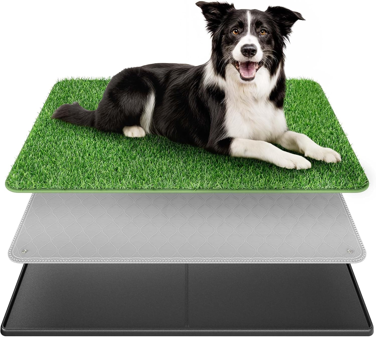 BurgeonNest Dog Grass Pad with Tray for Indoor Potty Training