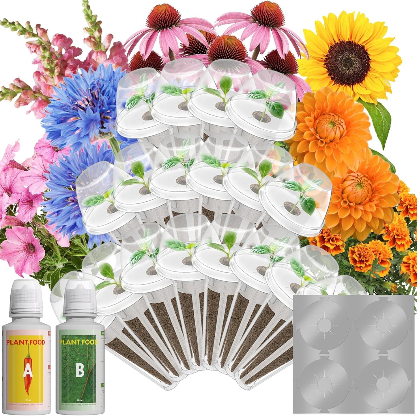 Flower Seed Pods for Hydroponics Indoor Gardening System