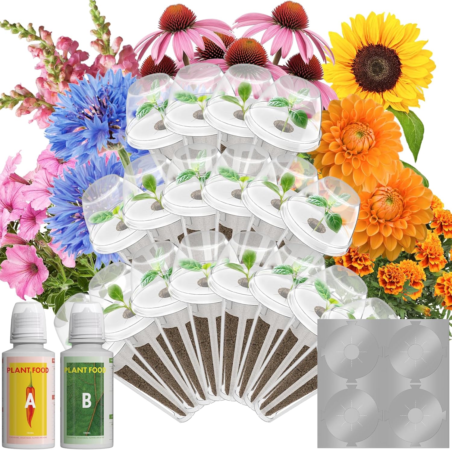 Flower Seed Pods for Hydroponics Indoor Gardening System