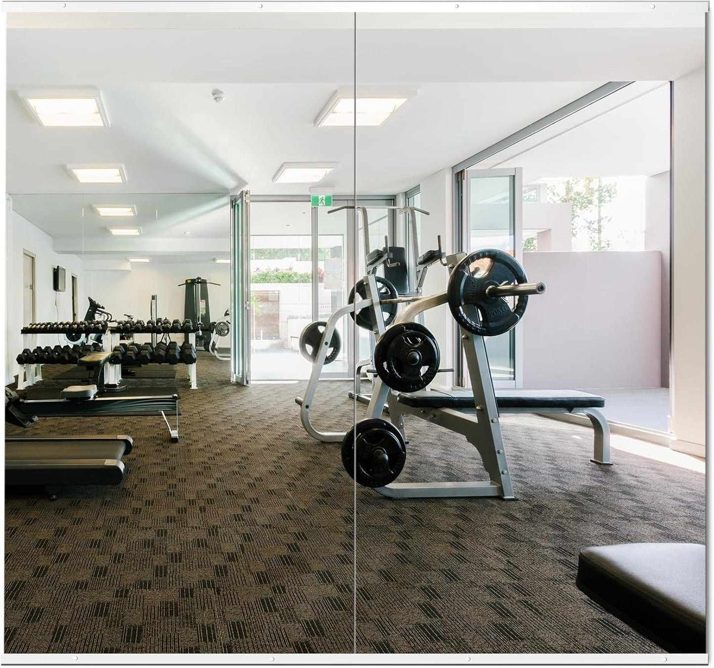 Delma Home Gym Mirror 54x30 in 2PCS for Gym Yoga and More
