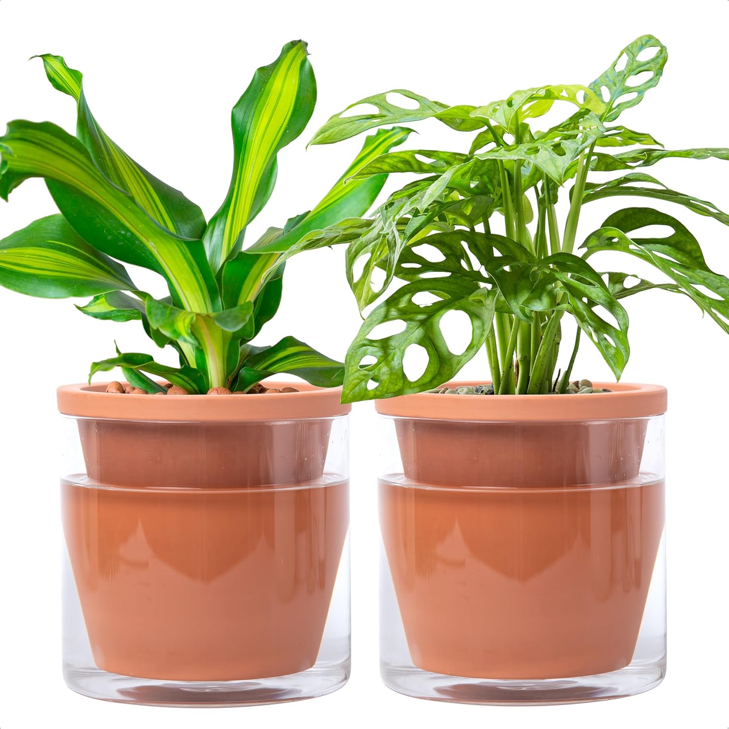 D'vine Dev 6 Inch Self Watering Pot Set for Indoor Plants
