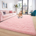 Foxmas Large Area Rugs for Living Room Bedroom 6x9 Feet Plush