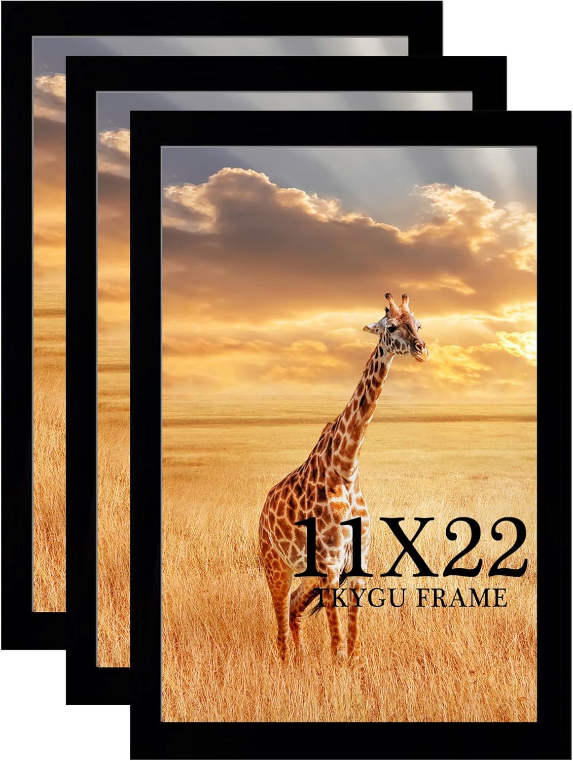 11x22 Picture Frame 3 Pack for Newspapers and Art Display