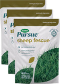 Sheep Fescue Lawn Seed Blend - Low-Maintenance, Drought-Tolerant