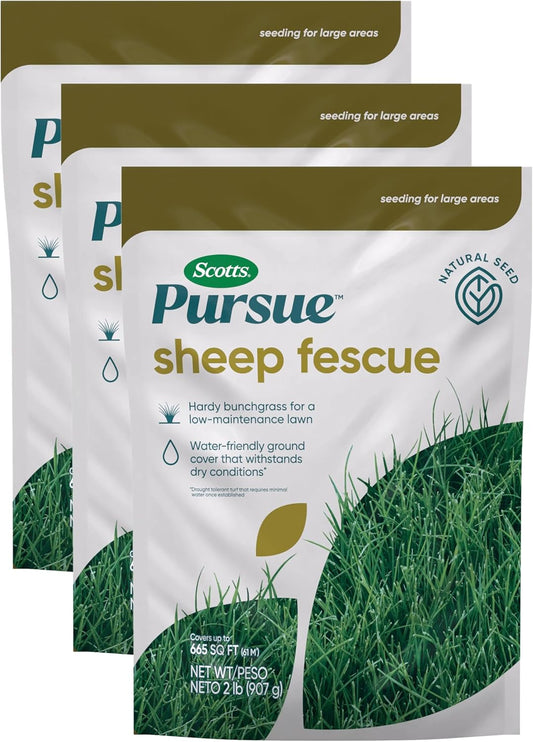 Scotts Pursue Sheep Fescue Natural Seed for Large Areas 2 lbs