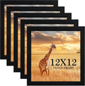12x12 Picture Frame Set of 5 Black Wooden Frames - Versatile Wall