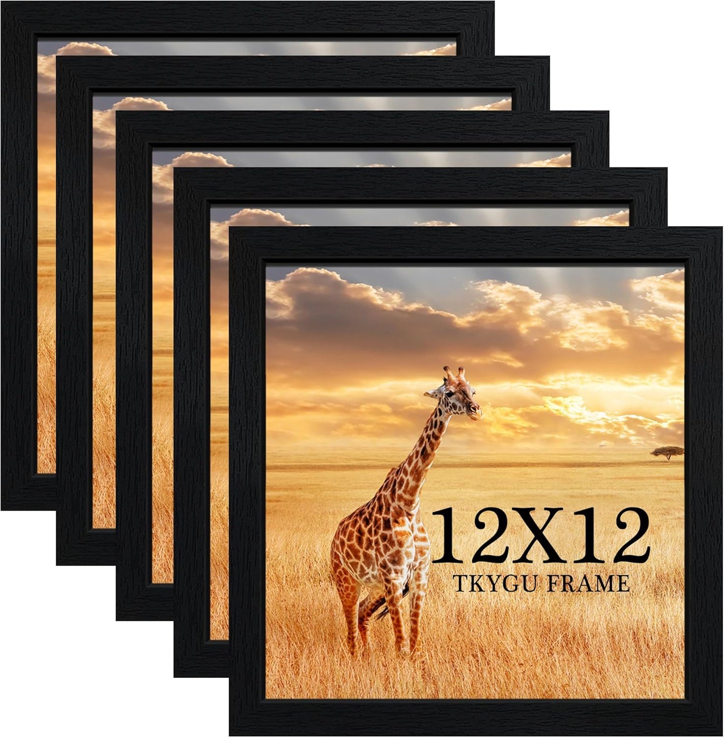 12x12 Picture Frame Set of 5 for Stylish Home Decor