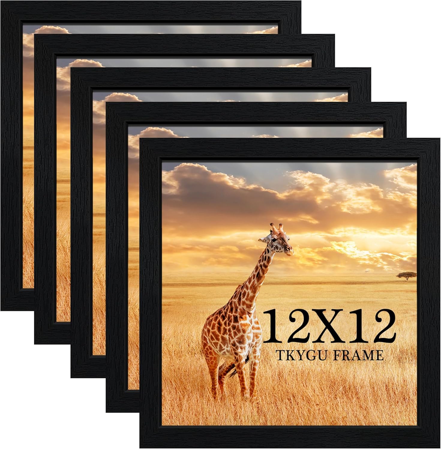 12x12 Picture Frame Set of 5 for Stylish Home Decor