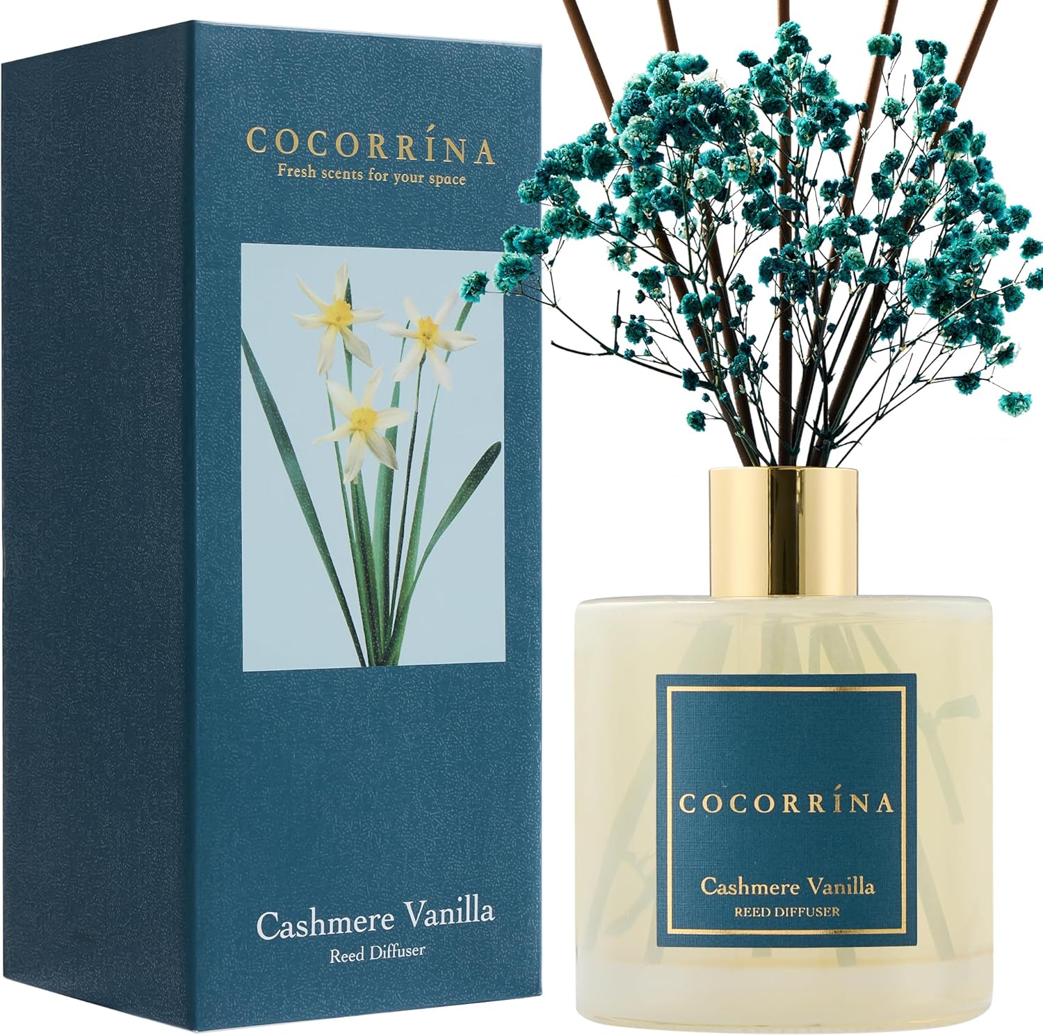 COCORRINA Reed Diffuser Cashmere Vanilla for Home Decor