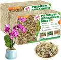Sphagnum Moss 80QT (2-Pack) for Orchids & Succulents - Premium Water