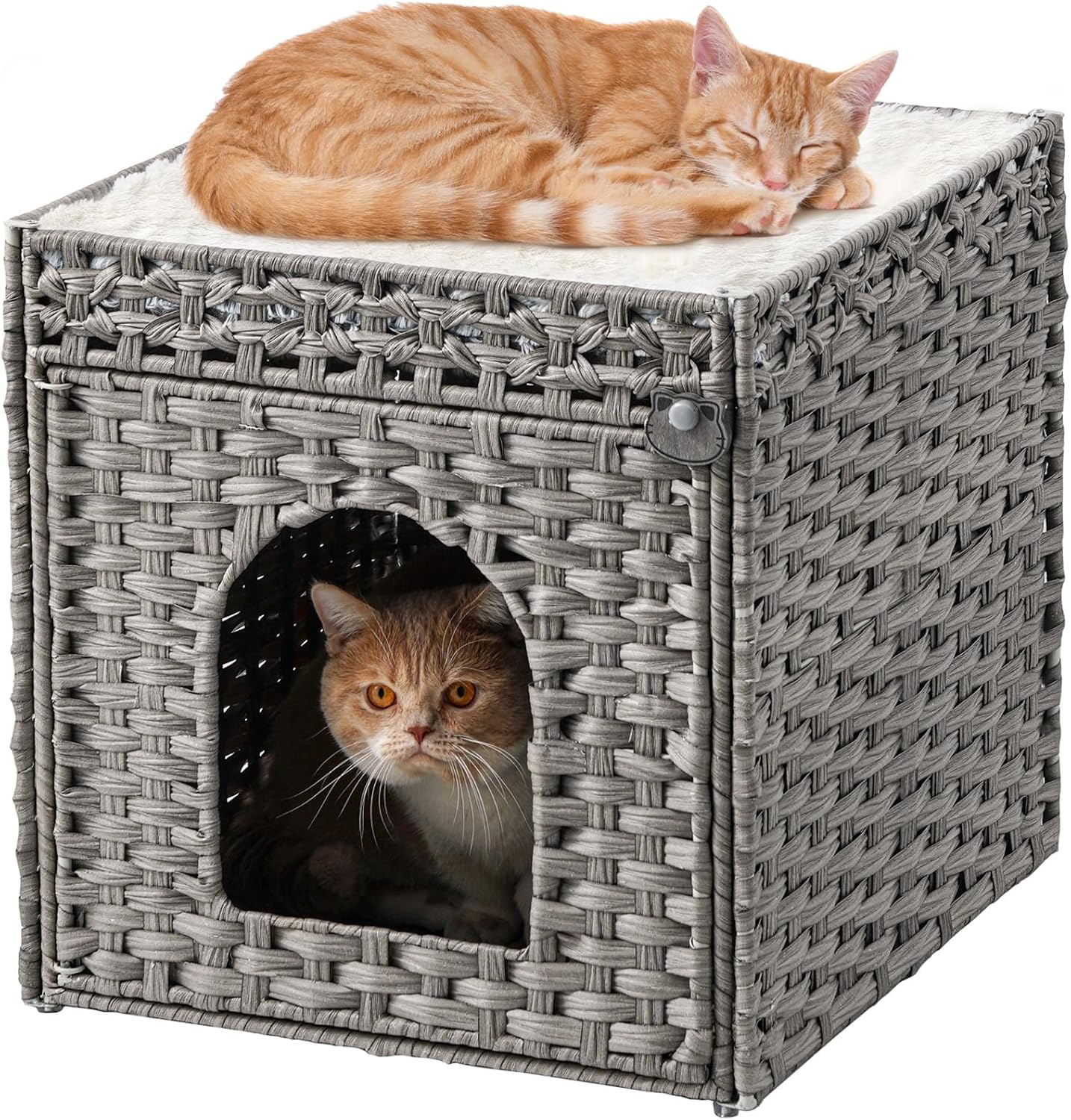 Extra Large Cat Beds for Indoor Cats with Cozy Cushions