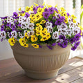 Artificial Pansy Flowers for Outdoor Planters - 36 Mixed Colors