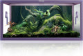 50 Gallon Reptile Tank 36in x 18in x 18in - Front Opening Enclosure
