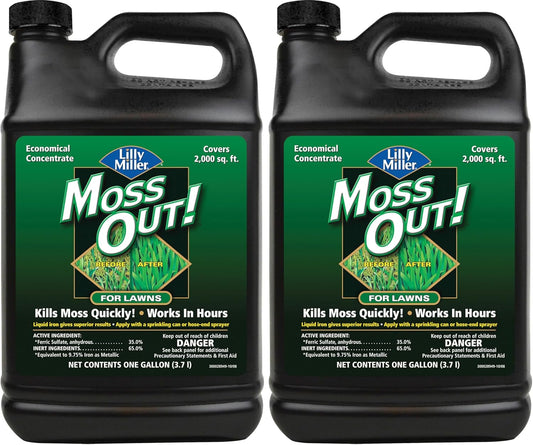 Moss Out for Lawns Concentrate 1gal - Kills Moss Effectively