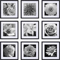 20x20 Picture Frames Set of 9 - Classic Gallery Wall Frames