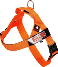 No Choke Dog Harness for Larger Chested Breeds Like Bulldogs