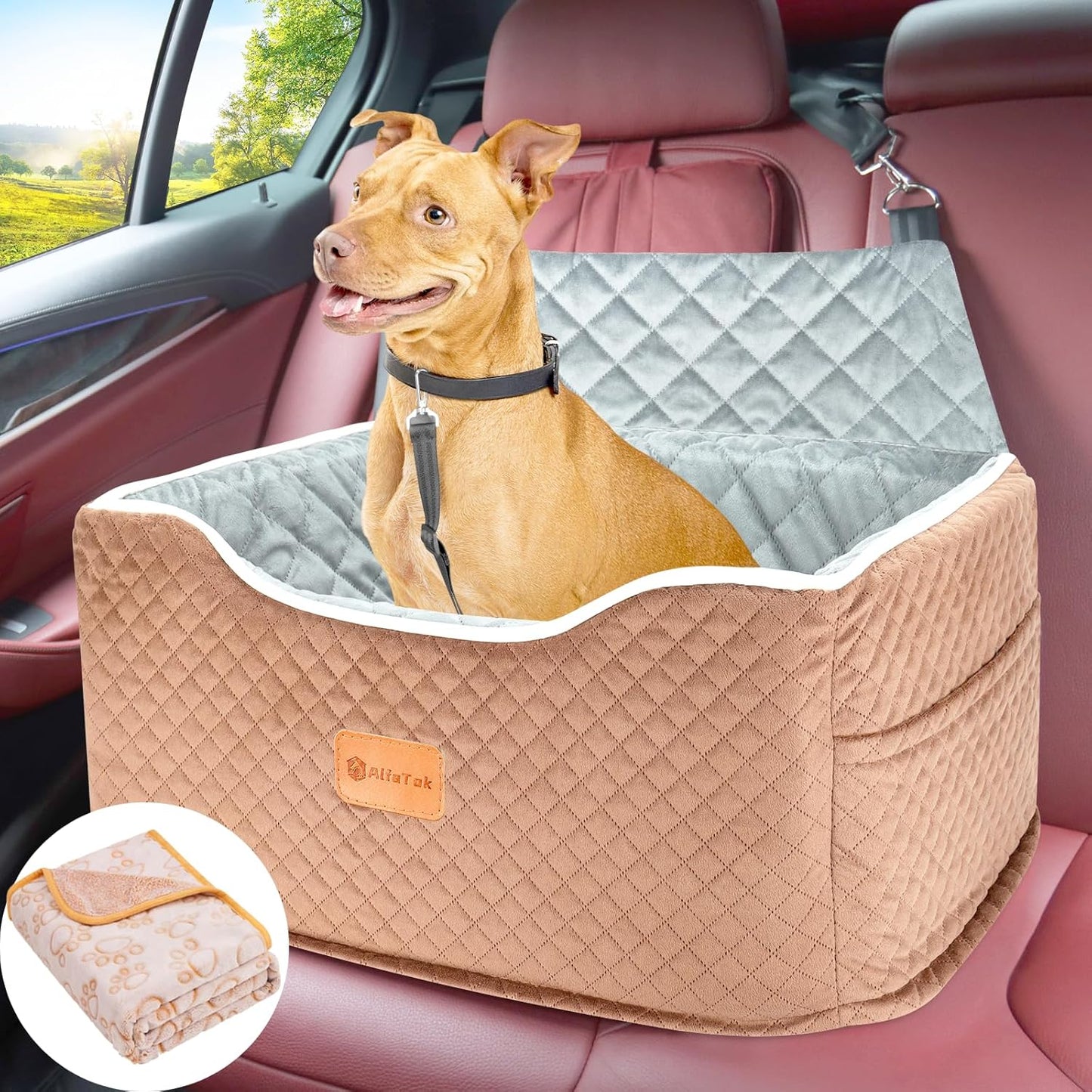 Memory Foam Booster Dog Car Seat for Medium Dogs Under 45 LBS